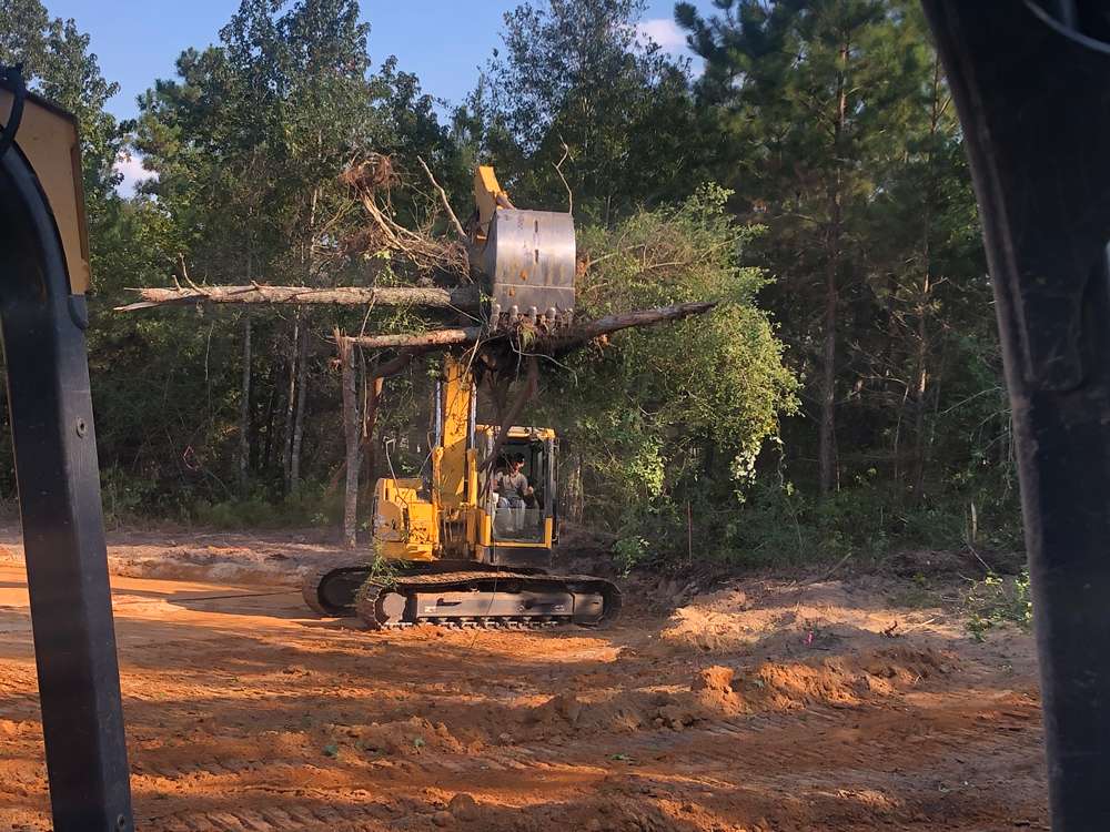 Residential lot clearing