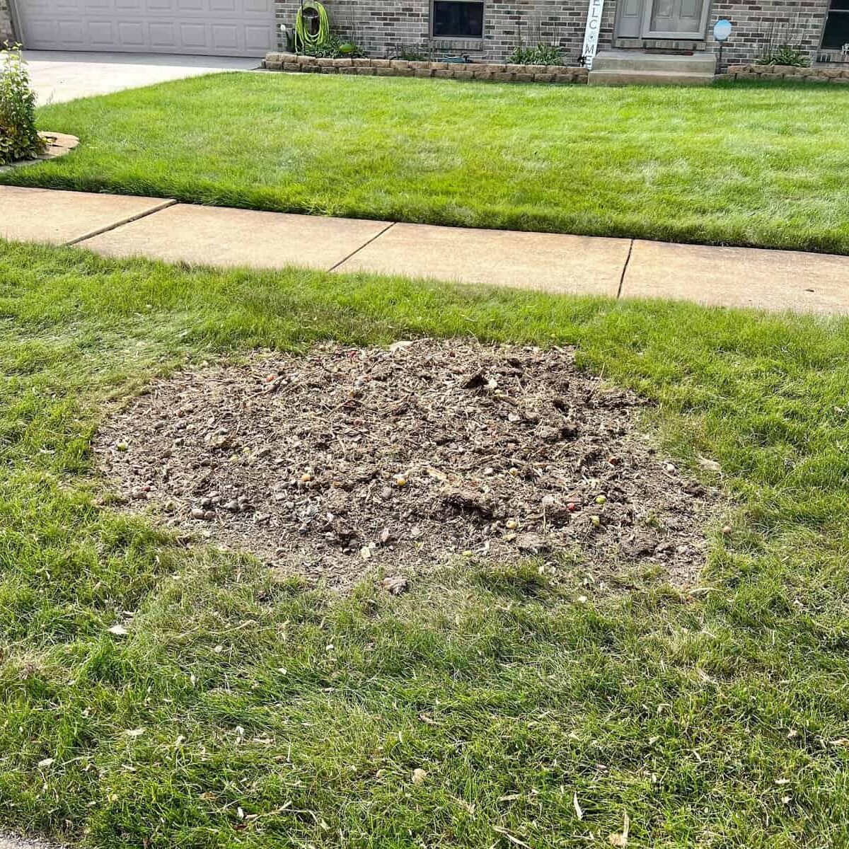 Clean yard after stump grinding