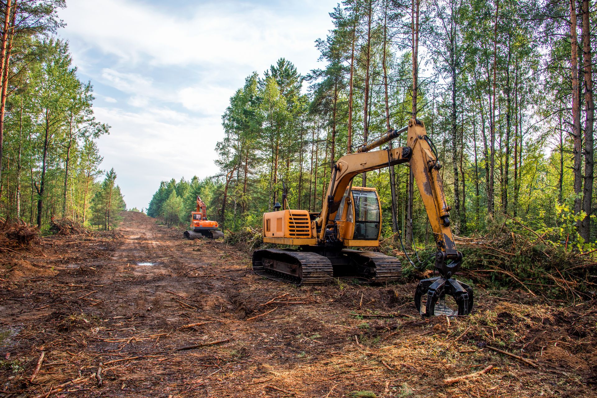 Lot and Land Clearing Buffalo NY