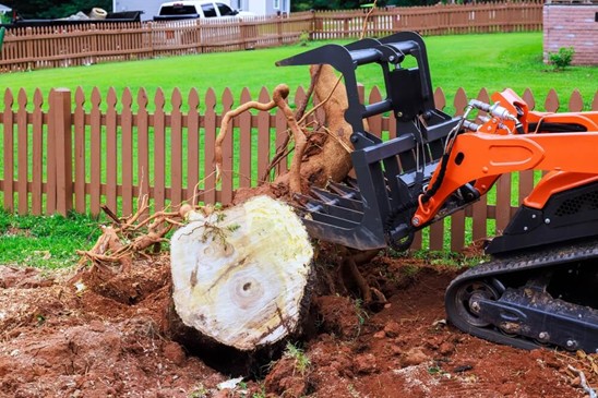 Safe land clearing process
