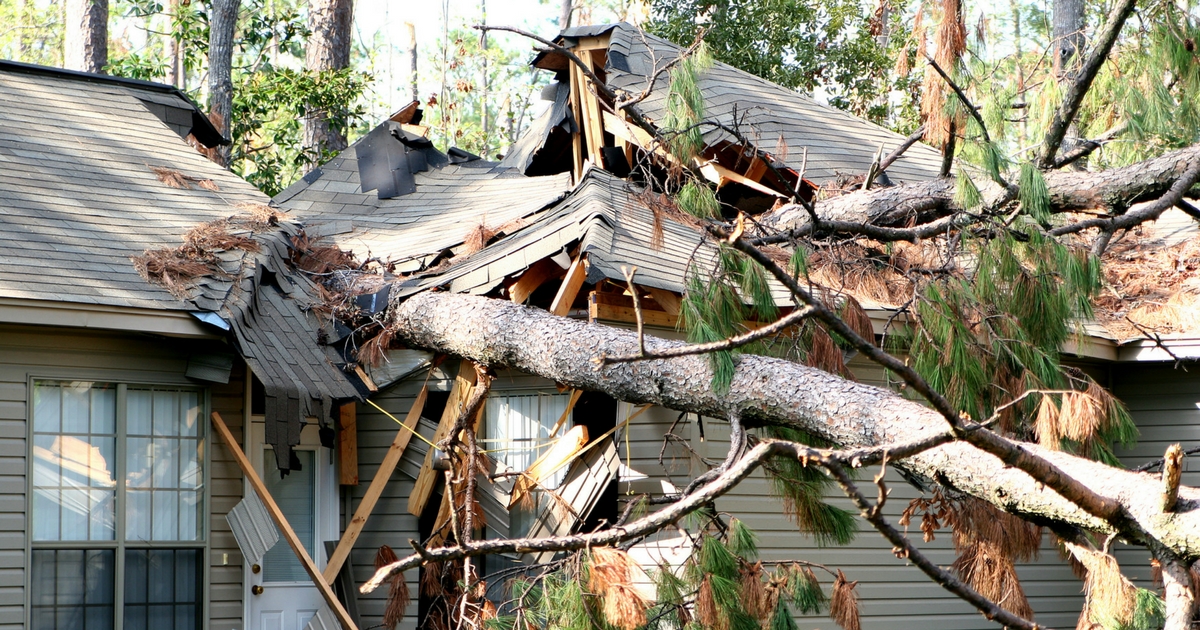 Storm Damage Cleanup Services in Buffalo NY