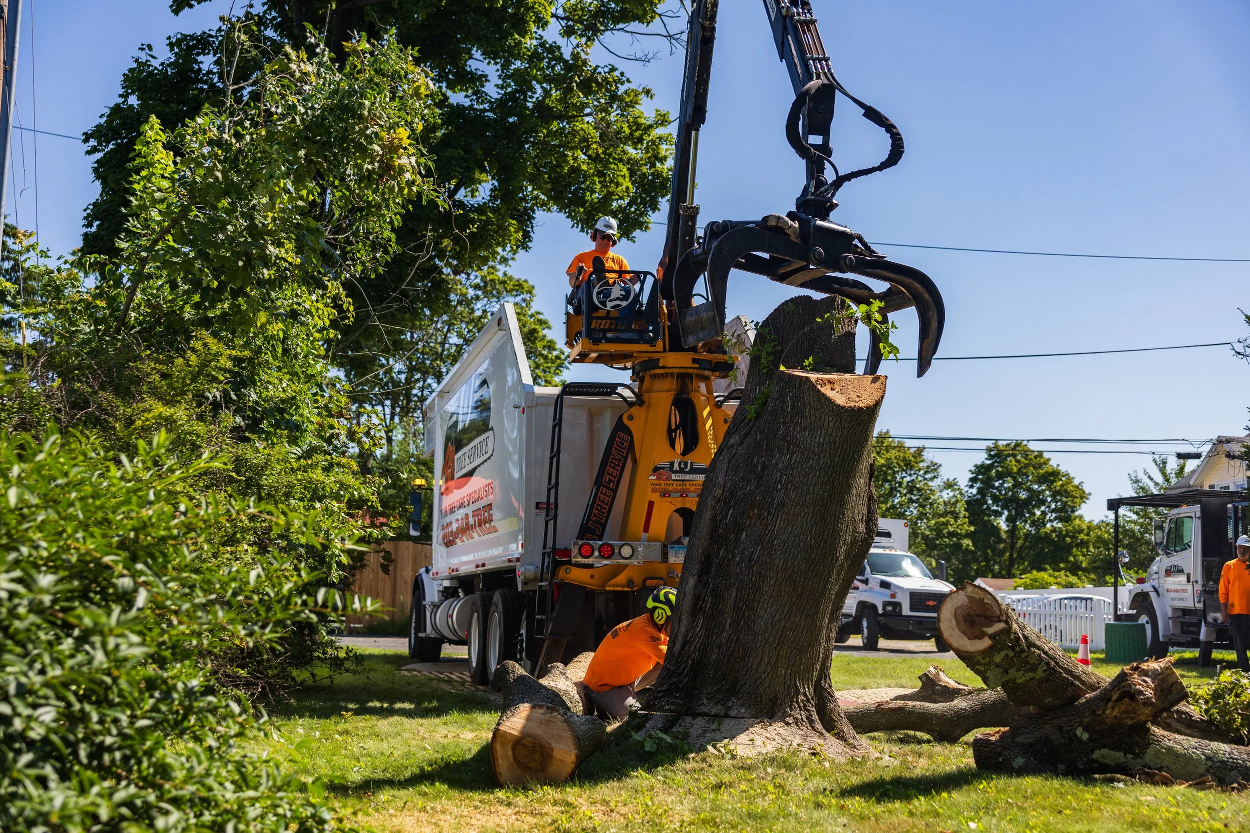 Why Choose Summit Tree Care