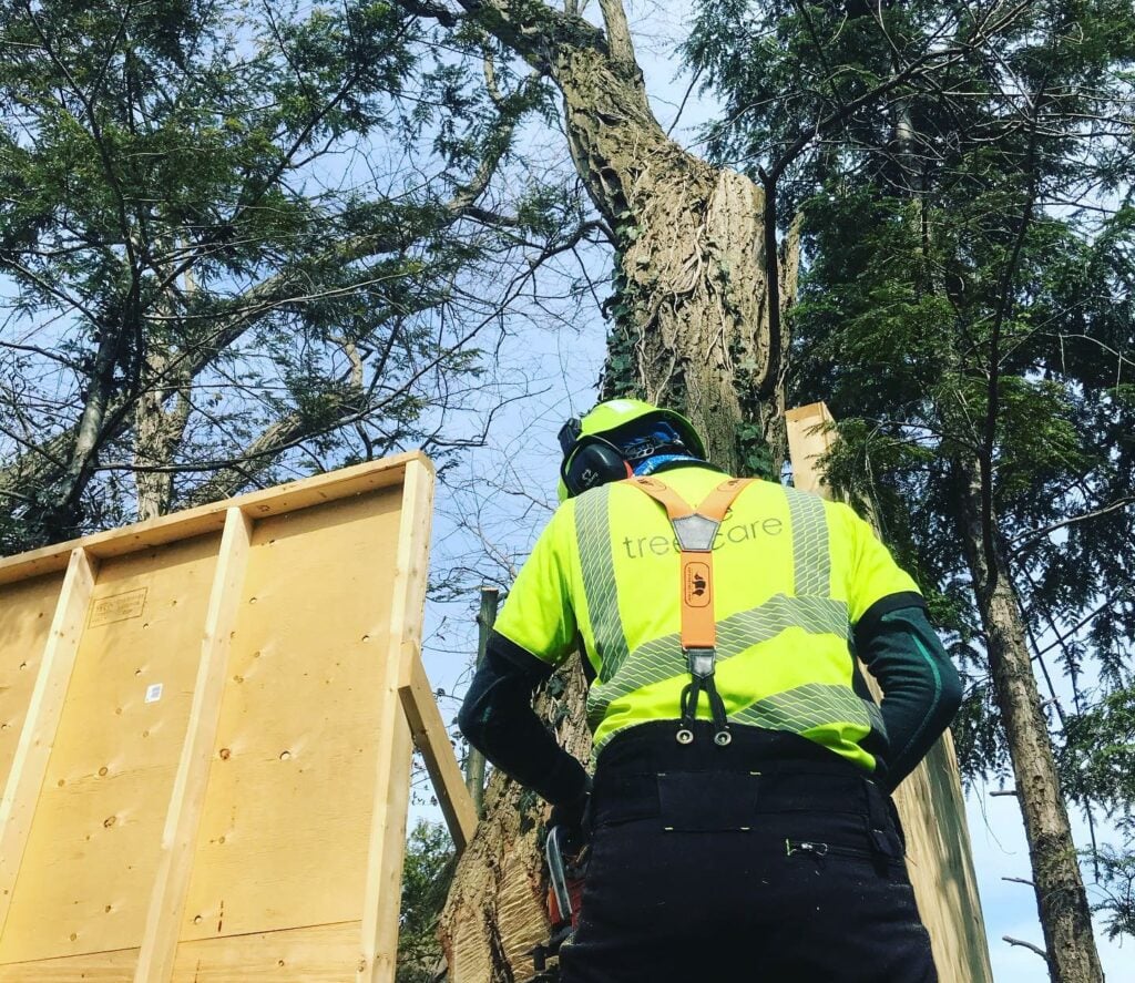 Safety Focused Tree Care
